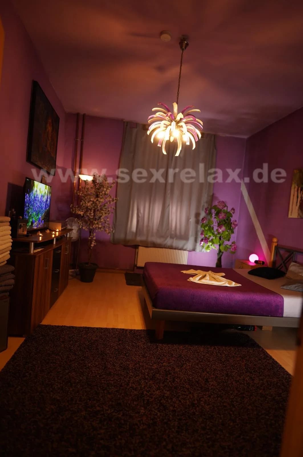 Gallery image 6