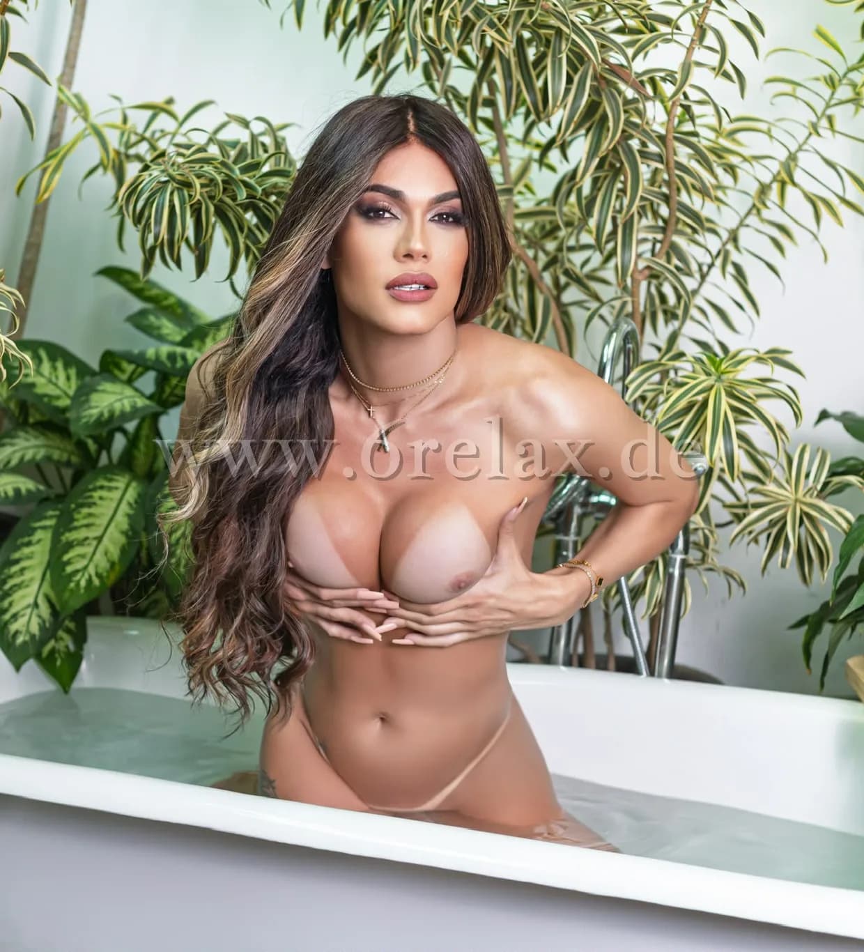 Gallery image 5